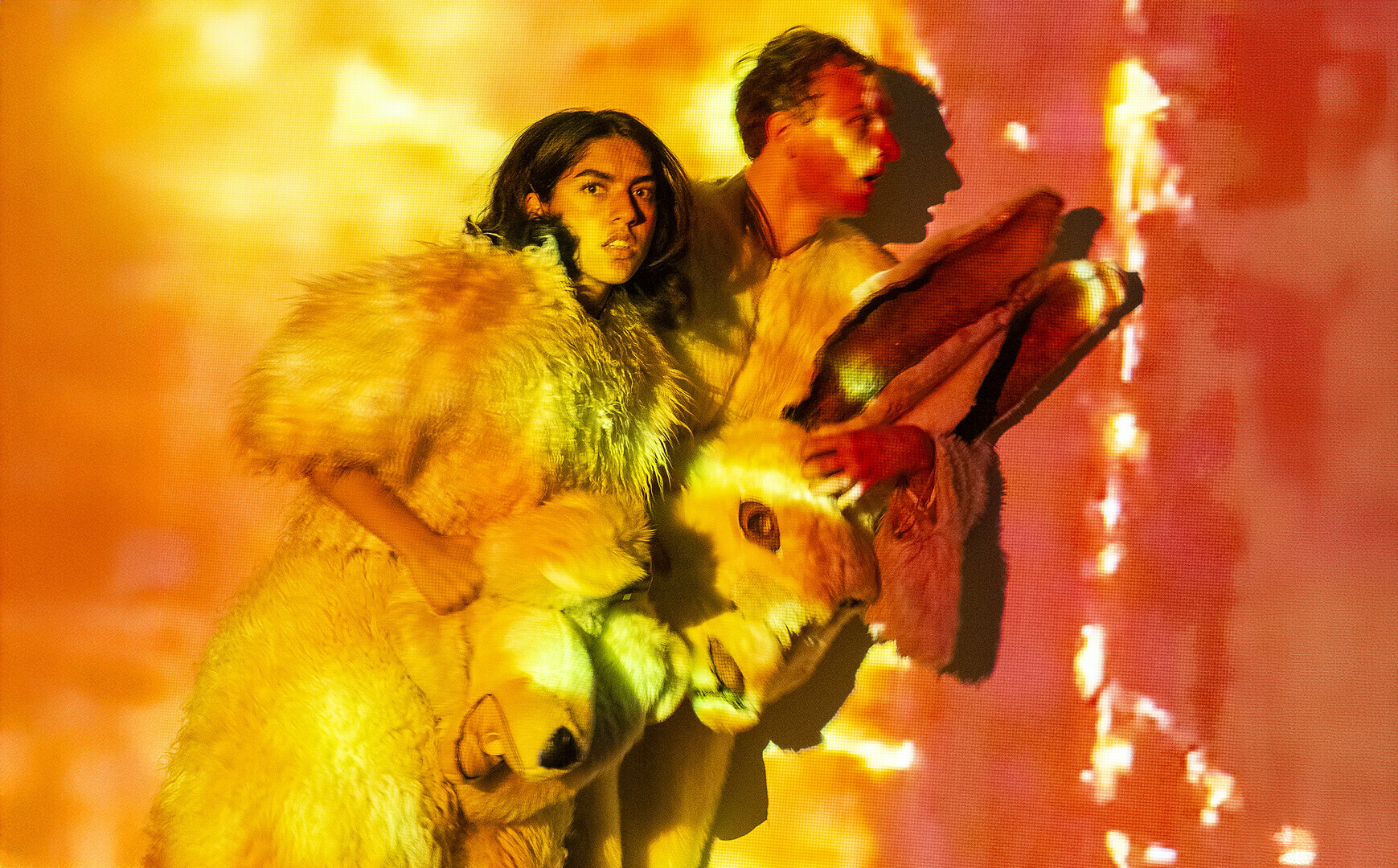 Candide oder der Optimismus